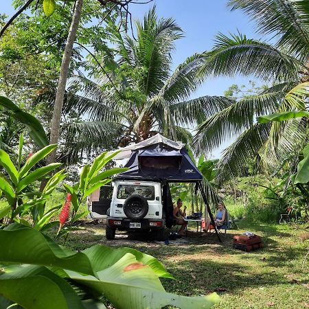 La Munequita Lodge 1 - Culture & Nature Experience Palmar Norte المظهر الخارجي الصورة