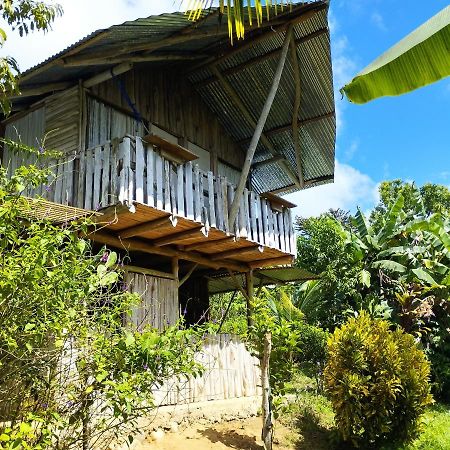La Munequita Lodge 1 - Culture & Nature Experience Palmar Norte المظهر الخارجي الصورة