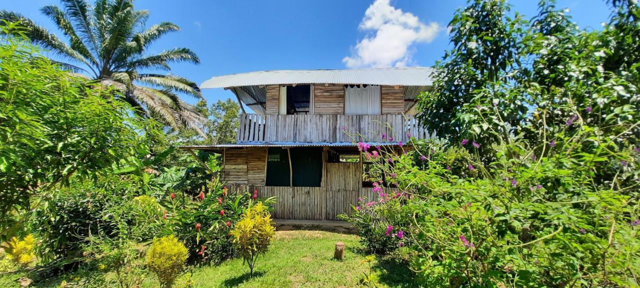 La Munequita Lodge 1 - Culture & Nature Experience Palmar Norte المظهر الخارجي الصورة