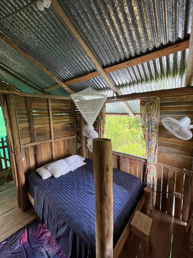 La Munequita Lodge 1 - Culture & Nature Experience Palmar Norte المظهر الخارجي الصورة